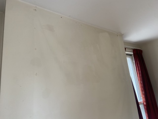 Is this mould?