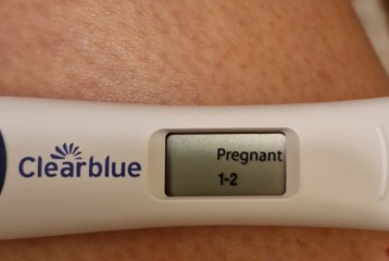 4 weeks pregnant / due April 2024