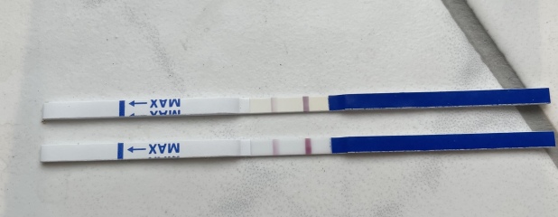4 weeks pregnant / due April 2024