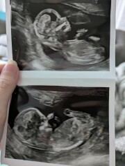 Gender Guesses for fun?