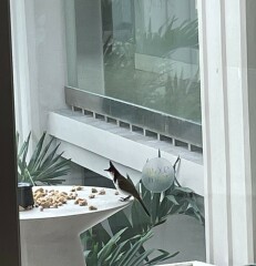 Come and tell me your dull and unexciting news 26: Calmly through the day 