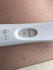 Clear blue test. Evap line or positive
