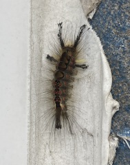 What little beasts are about to be spawned from this?