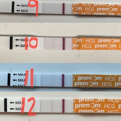 2DPO