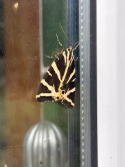 Thread 9 - TalkLair: “Russell's teapot goes on being round”