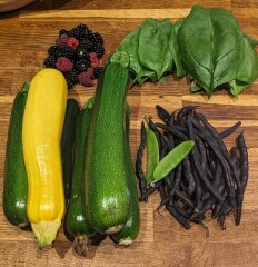 The Vegetable Patch Mark 2