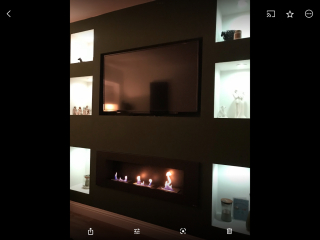 Bioethanol fires?
