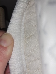 Bed bugs?