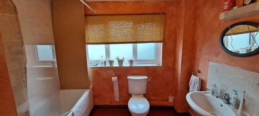 Bathroom - partially covering a window void for a shower - pictures?