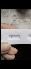 Is this positive or Evap line on my pregnancy test?