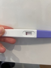 pregnancy test