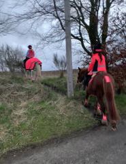 Best hi-vis for hacking