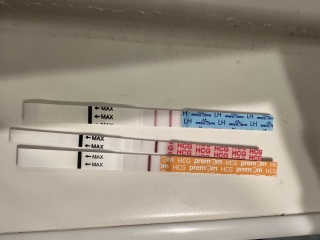 2DPO