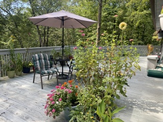 Come and tell me your dull and unexciting news 26: Calmly through the day 