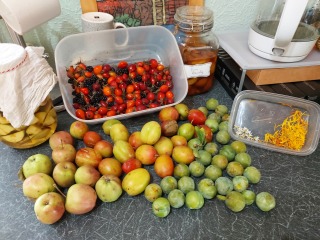 Any Witches Here?- Part 19