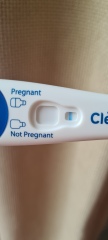 1DPO... Any tww buddies? 