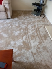 Carpetright - are they any good?