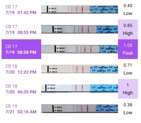 Can you ovulate 4 days after a surge