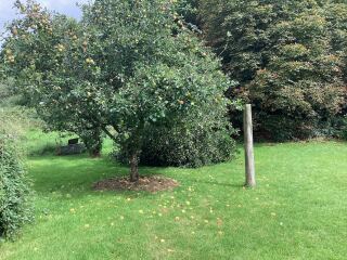 Thread 9 - TalkLair: “Russell's teapot goes on being round”