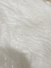 Headlice
