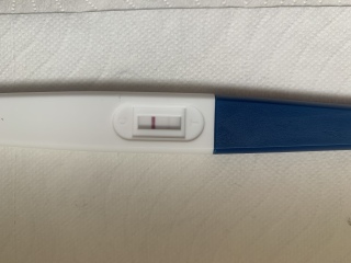 HELP just taken this test