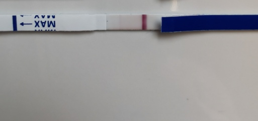 Dark OPK at 8dpo