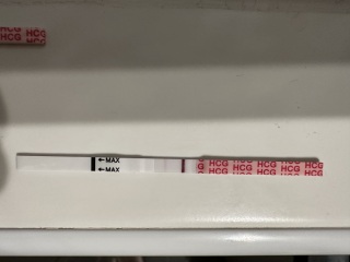 2DPO