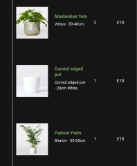 I havent a clue about indoor plants!