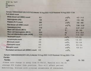 Blood test results, can anyone read them please?