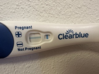 Positive pregnancy test???