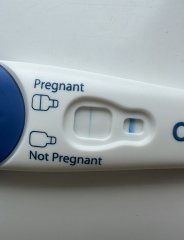 Clear blue test. Evap line or positive