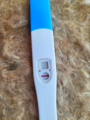 Cheapie recommendation? Constant evap!