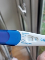 Clear blue test. Evap line or positive