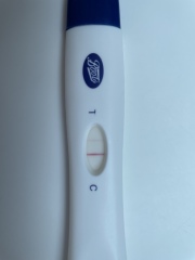 Geriatric gang 🤰part 2 