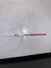Pregnancy test.