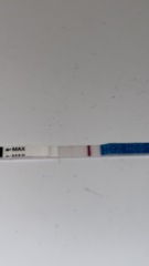 Pregnancy