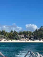 Come and tell me your dull and unexciting news 26: Calmly through the day 