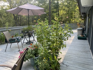 Come and tell me your dull and unexciting news 26: Calmly through the day 