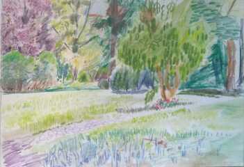 Thread 47- Covid GCSE Cohort - Summer's running away from us! 