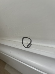 Tiny mites/lice on skirtings around house!!