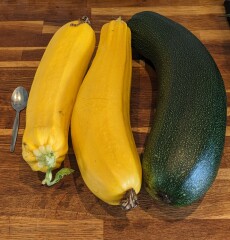 The Vegetable Patch Mark 2