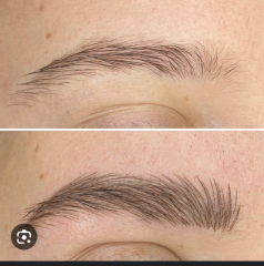 Eyebrows