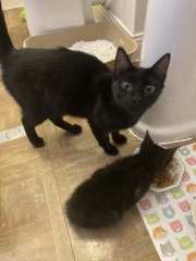 I have just bought a grit bin