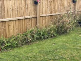 Best way to clear this... pic included