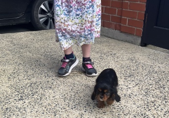 50 Books Challenge 2023 Part Seven 