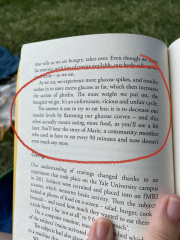 The Saxenda Sisterhood 