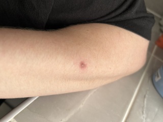 Anyone know what this is?