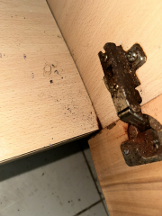 AIBU to expect landlord to replace kitchen?