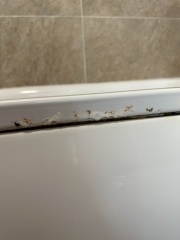To think / hope my Landlady would fix this?