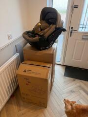 SMEP-ing our way to a BFP 🍁🍂🐿️🍂🍁 Part 2